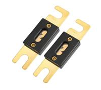 Hihaha Mini ANL Fuses 100A / Inner Audio CD Fuse for Car Motorcycle Boat/Durable Plastic Metal / 2 Pcs Gold Tone Black