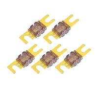 Hihaha Mini ANL Fuses 175A / Audio CD Fuse for Car / 5 Pcs Gold Tone Brown