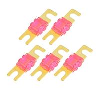 Hihaha Mini ANL Fuses 200A / Audio CD Fuse for Car / 5 Pcs Gold Tone Pink