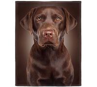 HiHELLOH Chocolate Lab Blanket, Brown Labrador Dog Print, Soft Fluffy Fleece Throw, 40"x50"
