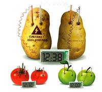 Hihey Kids Creative Educational Toy Potato Clock Environmental Protection DIY Technology Small Production Physical Experiment Equipment, As a Great Gift