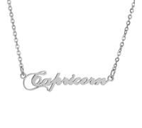 HIJONES 12 Zodiac Signs Necklace for Women Stainless Steel Personalized Horoscope Chain Dainty Charm Jewelry Silver Capricorn