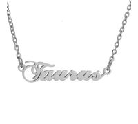 HIJONES 12 Zodiac Signs Necklace for Women Stainless Steel Personalized Horoscope Chain Dainty Charm Jewelry Silver Taurus