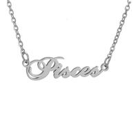 HIJONES 12 Zodiac Signs Necklace for Women Stainless Steel Personalized Horoscope Chain Dainty Charm Jewelry Silver Pisces