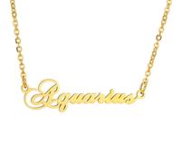 HIJONES 12 Zodiac Signs Necklace for Women Stainless Steel Personalized Horoscope Chain Dainty Charm Jewelry Gold Aquarius