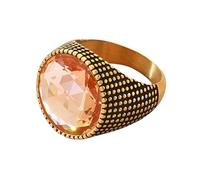 HIJONES Men Women's Large Gemstone Stainless Steel Punk Style Ring Minimalist Personalized Vintage Band Jewelry Gold Champagne Size Y