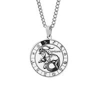 HIJONES Mens Stainless Steel Round Coin Zodiac Constellation Pendant Necklace Amulet Necklace for Women Men Gift Capricorn