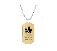 HIJONES Mens Womens Stainless Steel Constellation Engraved Necklace Peron Personalized Astrology Army Dog Tags Gold Aquarius