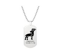 HIJONES Mens Womens Stainless Steel Constellation Engraved Necklace Peron Personalized Astrology Army Dog Tags Silver Capricorn