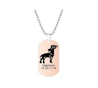 HIJONES Mens Womens Stainless Steel Constellation Engraved Necklace Peron Personalized Astrology Army Dog Tags Rose Gold Capricorn