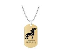HIJONES Mens Womens Stainless Steel Constellation Engraved Necklace Peron Personalized Astrology Army Dog Tags Gold Capricorn