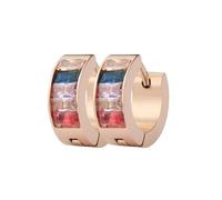 HIJONES Womens Stainless Steel Rectangle Rainbow CZ Inlaid Small Hoggie Hoop Earrings LGBT Pride Lesbian Bisexual Nonbinary Asexual Flag LGBTQ Stud Jewellery Rose Gold