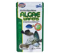 Hikari Algae Wafers [Sng] 82G
