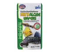Hikari Mini Algae Wafers, 0.77 oz