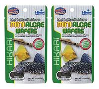 Hikari Mini Algae Wafers 22g