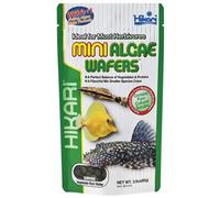 Hikari Mini Algae Wafers Fish Food Pleco Catfish Tropical Wafers 85G