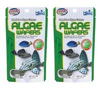 Hikari Tropical Algae Wafers Fish Food - Standard - 40g Bag
