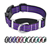 Hikiko Martingale Dog Collars Reflective Nylon Dog Collar with Quick Release Buckle Adjustable Training No Slip Dog Collar (Medium, Purple)