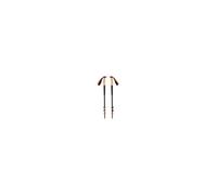 Hiking poles Black Diamond TRAIL CORK TREKKING POLES (Fig)