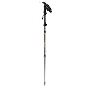 Foldable hiking poles Guidetti Flashlock MK2 (x2) Noir 125 cm