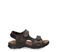 Sandals Panama Jack Salton Basics Dark Brown - 45