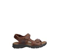 Hiking sandals Panama Jack Salton Basics C4 Marron 43