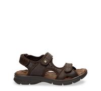 Hiking sandals Panama Jack Salton C35 44