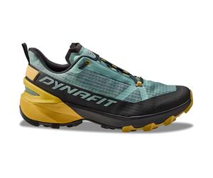 Hiking shoes Dynafit Transalper 47
