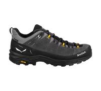 Hiking shoes Salewa ALP Trainer 2 GTX 44