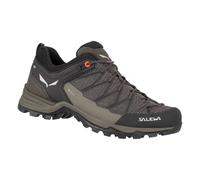 Salewa Mountain Trainer Lite Gore-Tex Men's Shoes