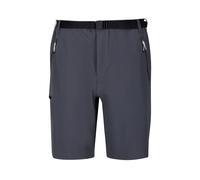 Regatta Xert Stretch Iii Shorts Grey 46 / Regular Men