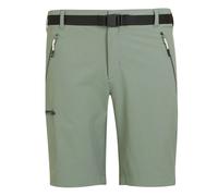 Regatta Xert Stretch Iii Shorts Green 52 / Regular Men