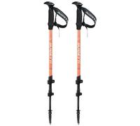 Hiking stick Guidetti Altitude (x2) Noir 62/135 cm