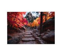 Hiking Trails Wooden Jigsaw Puzzle Horizontal 300 Pieces for Family Leisure and Creativity Enhancement