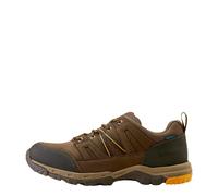 Hiking Trainers Ariat Skyline Waterproof Marron 44,5