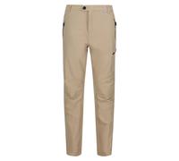 Regatta Highton Regular Pants Beige 38 / Regular Men