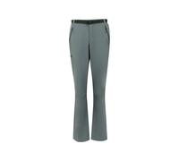 Regatta Xert Stretch Iii Pants Grey 29 / Short Men