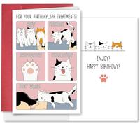 Hilarious Cat Spa Birthday Card, Funny Kitty Bday Greeting Card with Massage & Acupuncture Puns, Gift for Women, Wife, Cat Lady & Best Friend