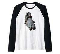 Hilarious Geeky Male and Female Tortoises Mating Raglan Baseball Tee