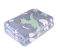 Hileyu Glow in The Dark Blanket,120X150CM Soft Flannel Fleece Blanket,All Season Blanket for Kids,Soft Warm Fleece Material Bed Throw for Boys Girls,Dinosaur Blanket