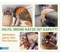 Hilfe, meine Katze ist kaputt: 200 Katzen gehen über ihre Grenzen