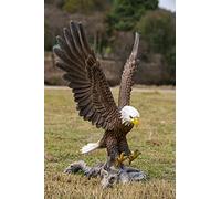 HiLine Gift Ltd. Flying Eagle Statue