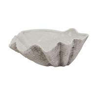 Hill Interiors Adele Ceramic Shell Bowl White/grey (16Cm X 40Cm X 40Cm)