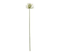Hill Interiors Agapanthus Artificial Flower Spray - Cream - One Size - Cream
