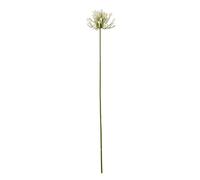 Hill Interiors Agapanthus Artificial Flower Spray In Cream Cream