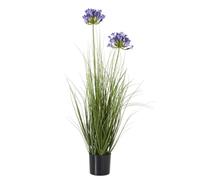 Agapanthus Artificial Potted Plant Hill Interiors Light Blue One Size