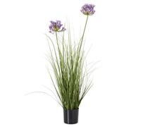 Hill Interiors Agapanthus Plant Pot Green/purple (One Size)