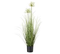 Hill Interiors Agapanthus Plant Pot - White/Green - One Size
