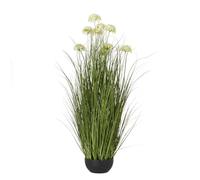 Hill Interiors Allium Artificial Potted Plant (One Size) (White)