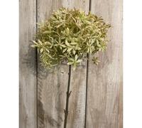 Hill Interiors Allium Stem Artificial Flower - Green/Beige - One Size